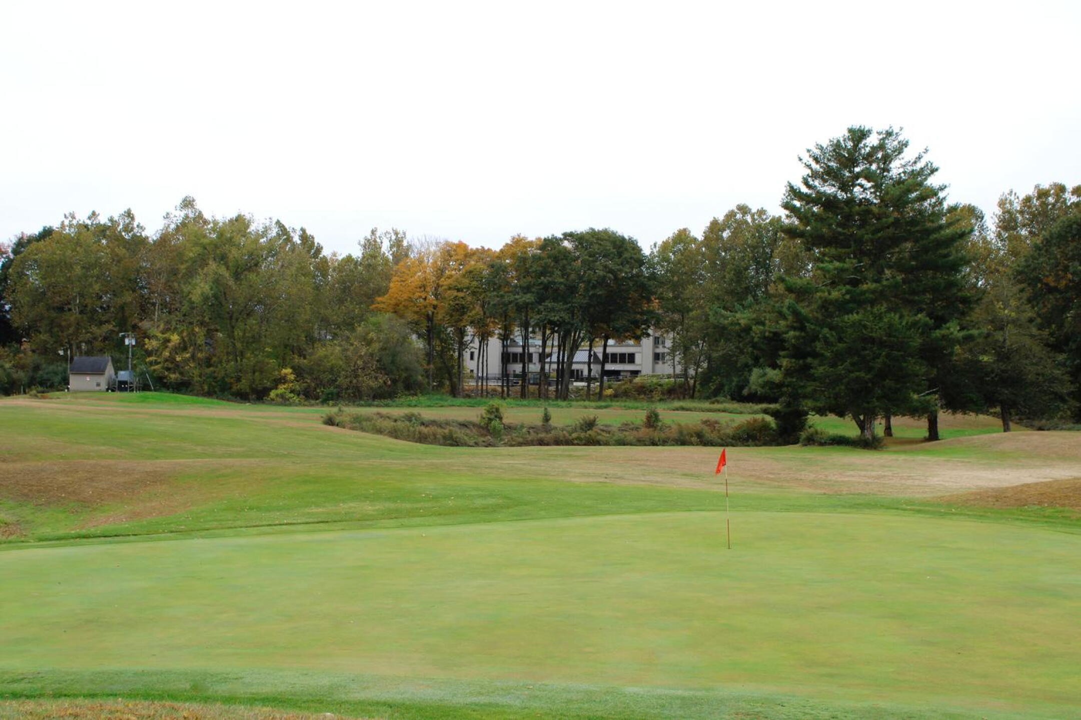 Green one at Pomperaug. (Photo submitted by AptlyLinked on 10/19/2024)
