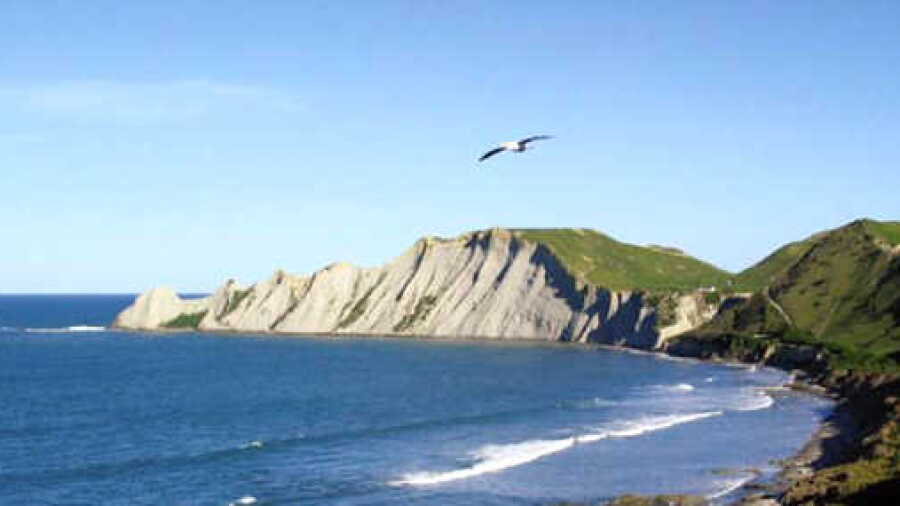 Cape Kidnappers