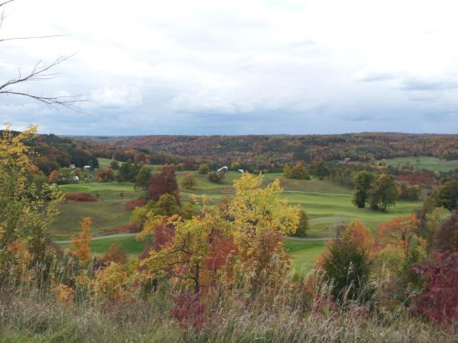 (Photo submitted by u000004158508 on 10/07/2012)