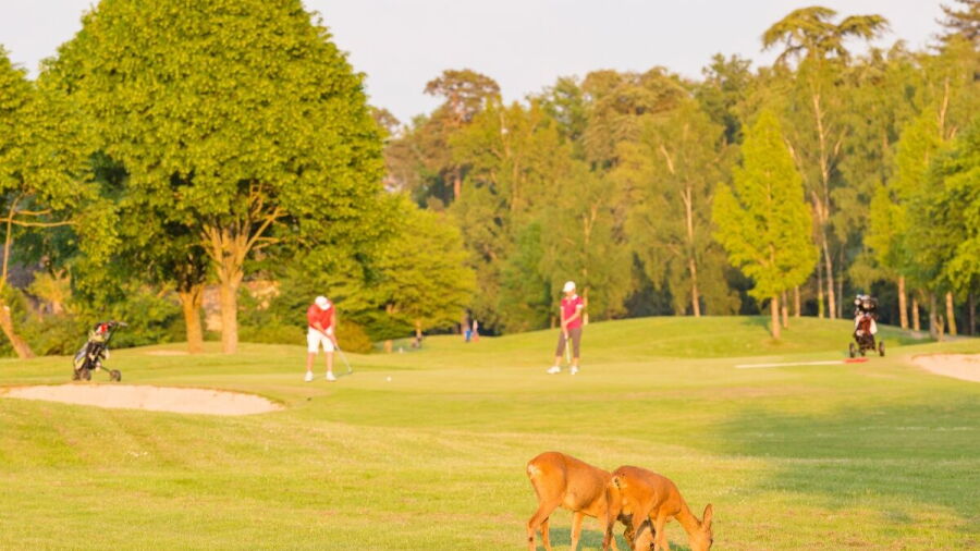 Yvelines GC - Les Tilleuls