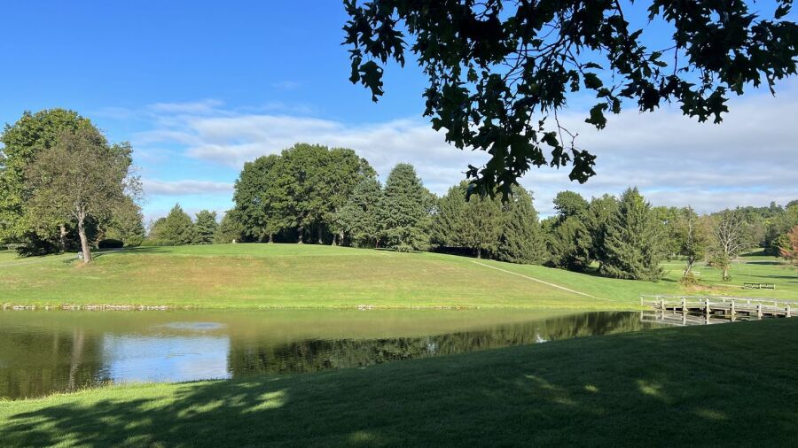 Tree Top GC