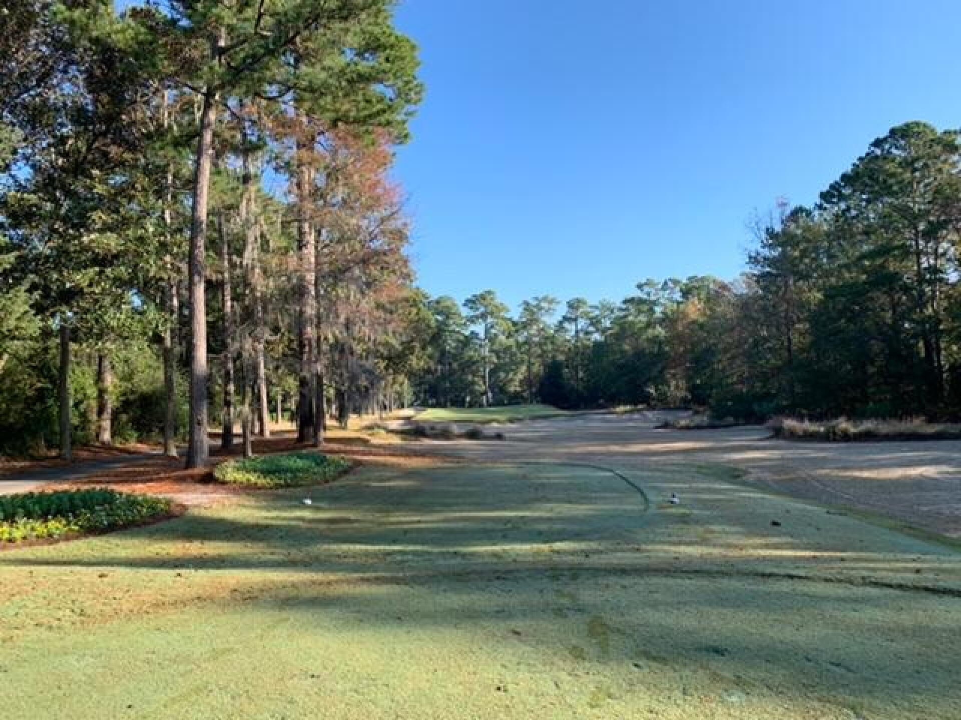 (Photo submitted by u000007167967 on 11/20/2019)
