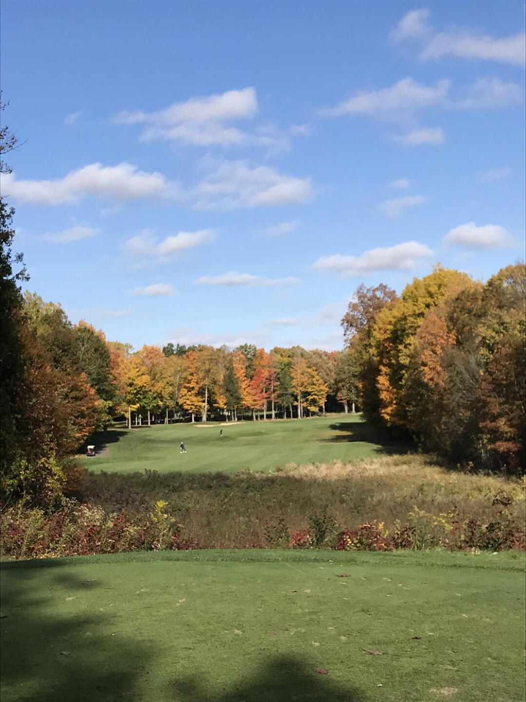 #6 (Photo submitted by KL1121 on 10/13/2020)