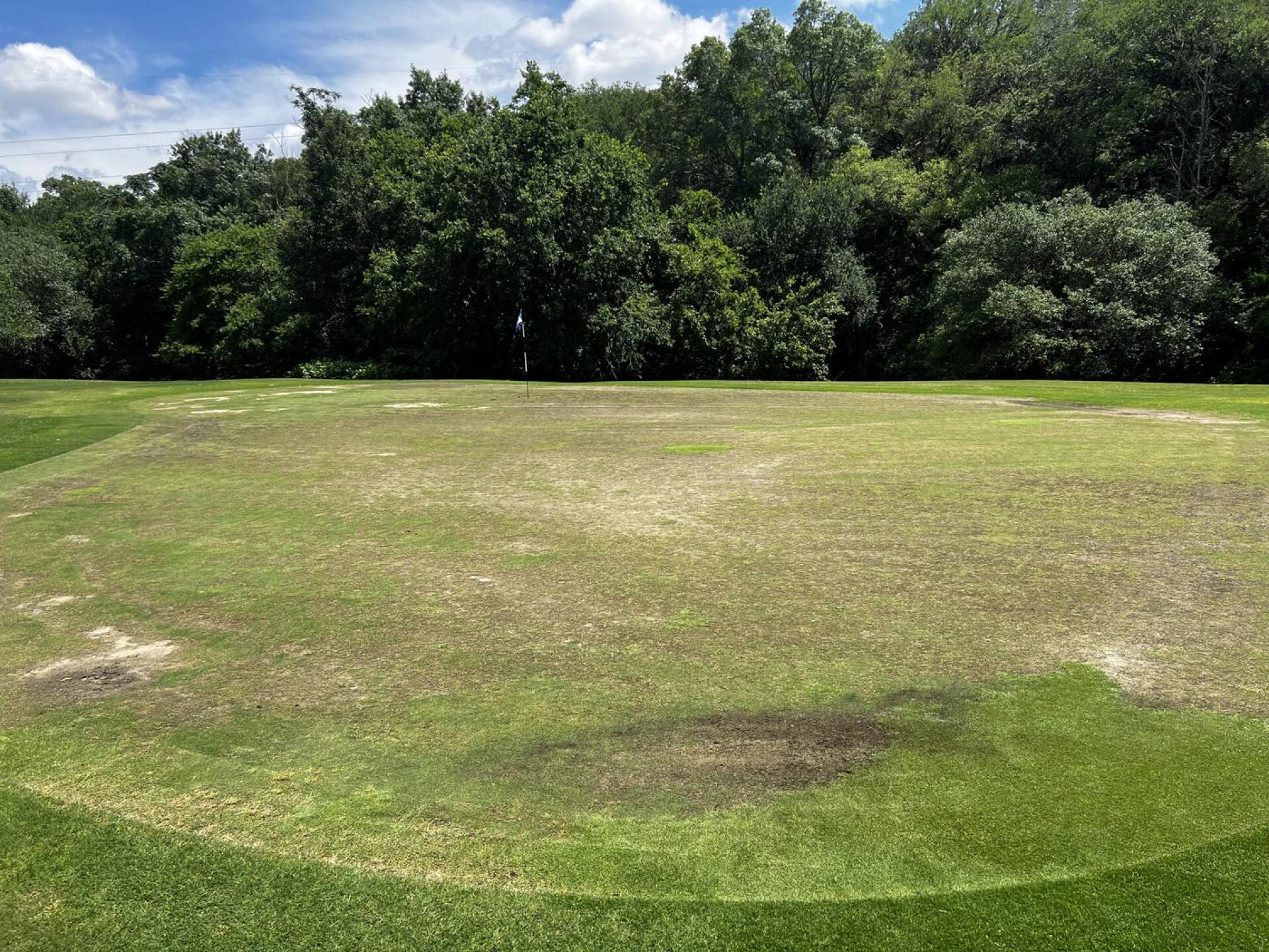 This was one of the better greens. (Photo submitted by MichaelRamirez15 on 05/20/2023)