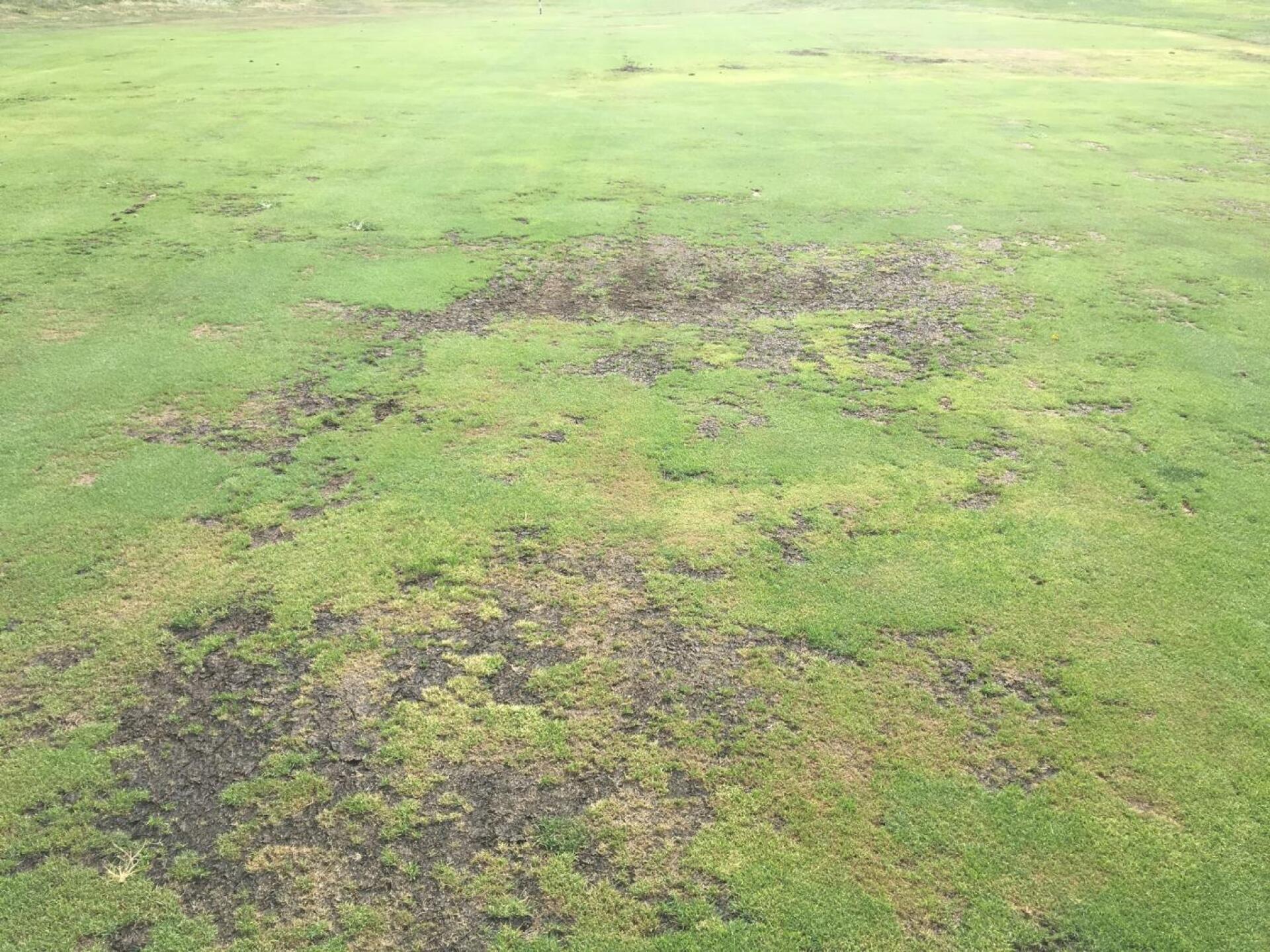 Fairways (Photo submitted by Aces2xlove2golf on 08/10/2019)