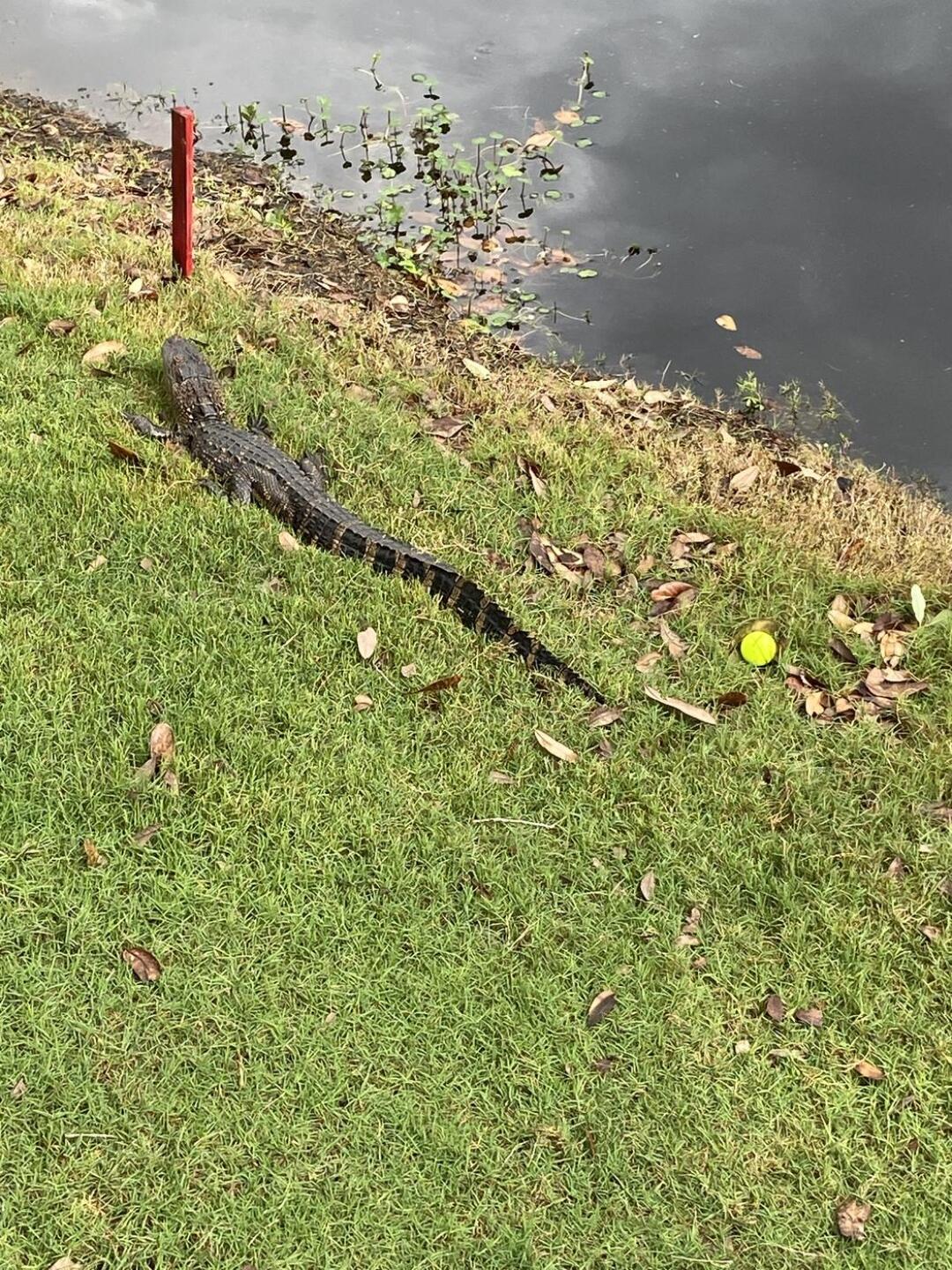 (Photo submitted by u023007686 on 04/02/2022)