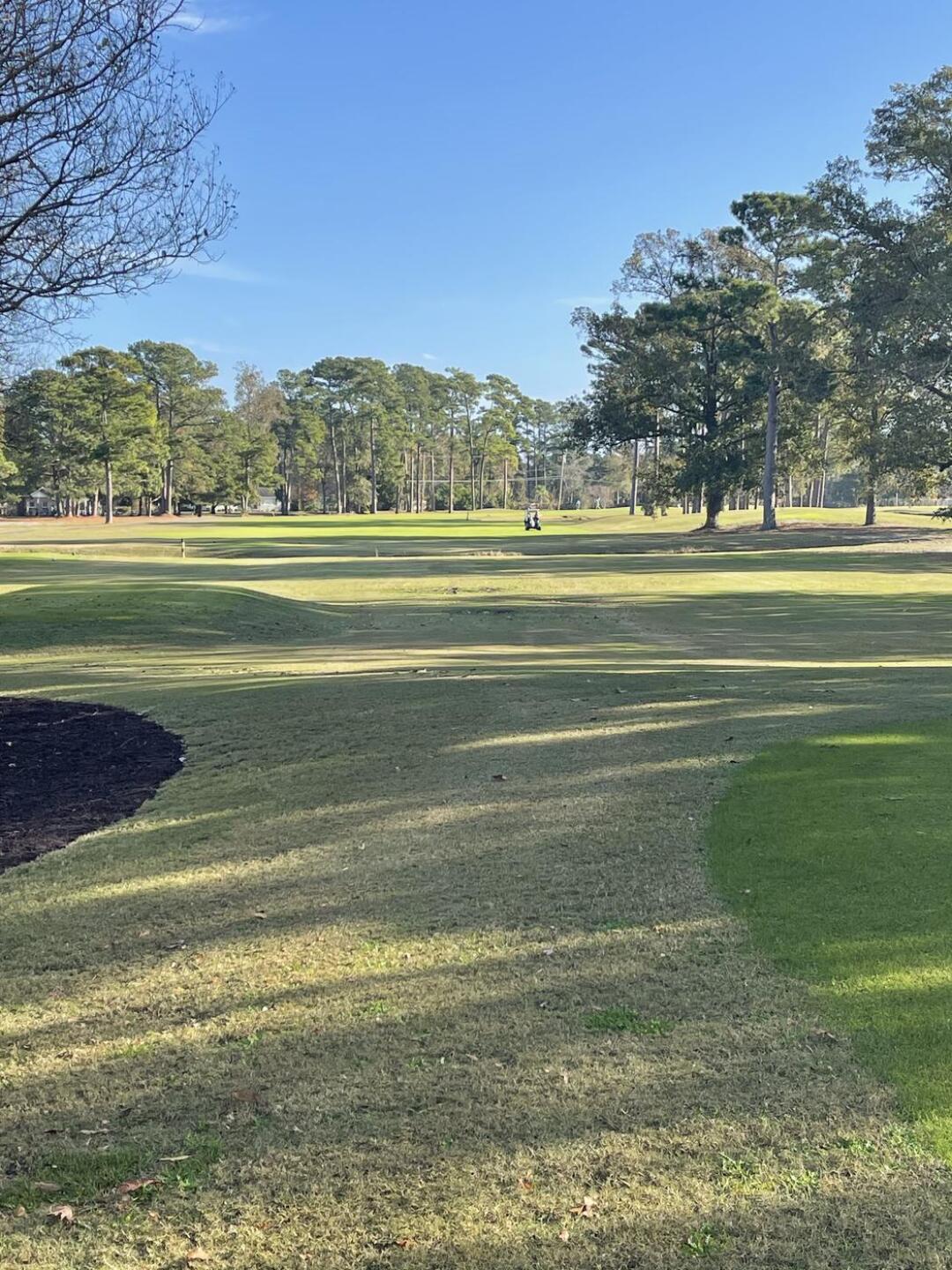 (Photo submitted by Joeylappi99 on 11/26/2020)