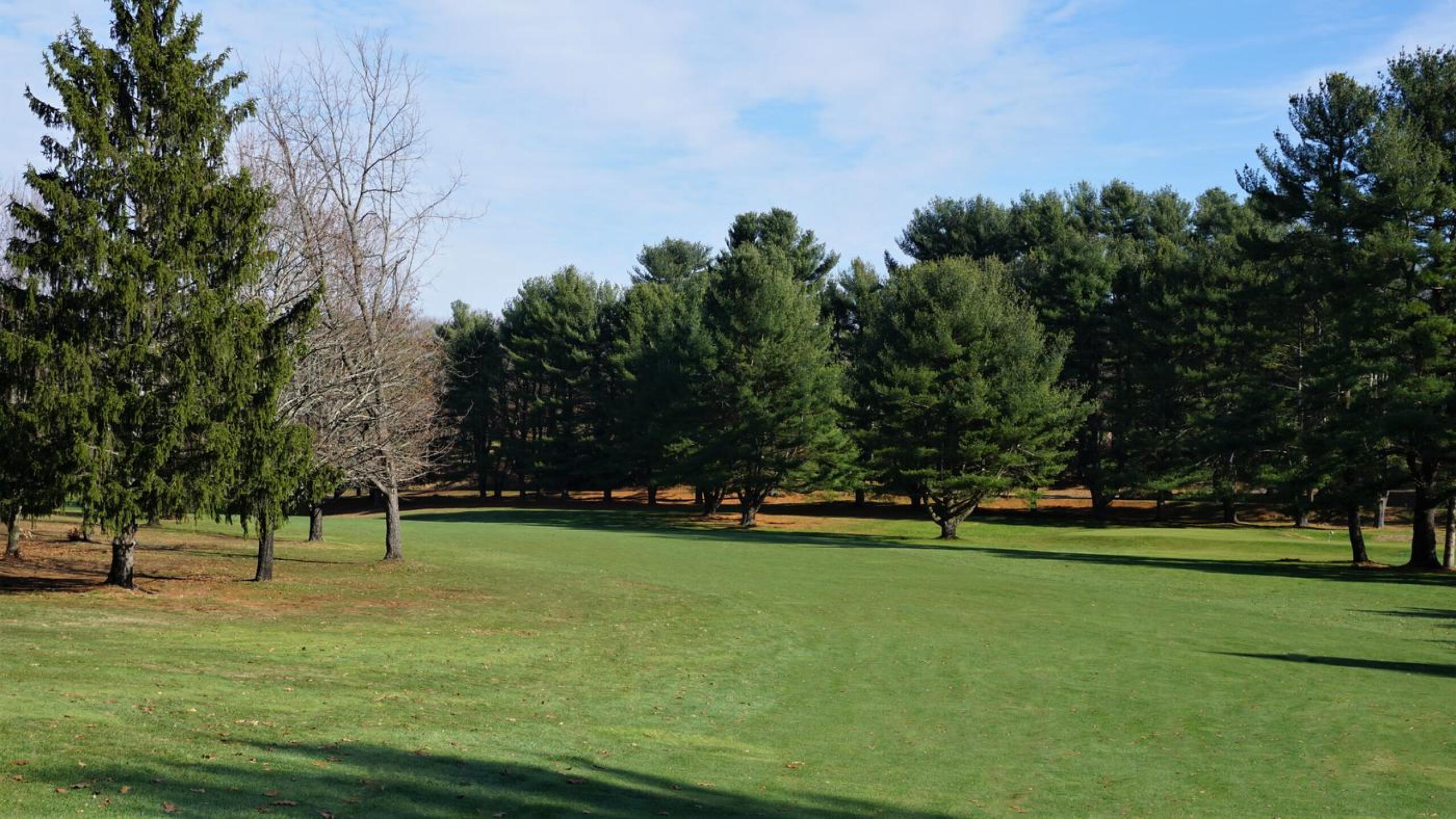 Hole four is a pretty but challenging par-5 of 480 that doglegs left. (Photo submitted by AptlyLinked on 11/21/2020)