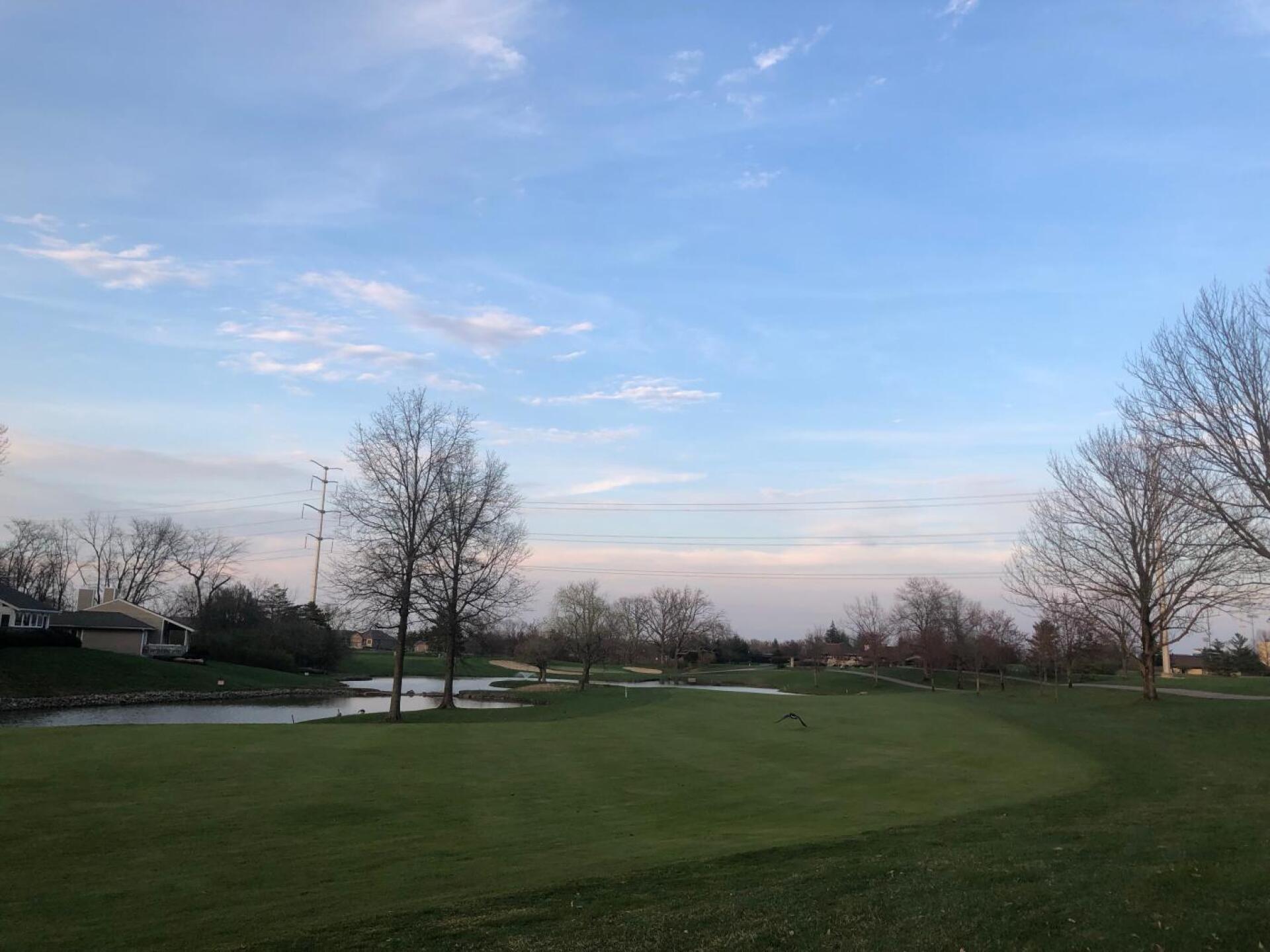 (Photo submitted by u983032896 on 06/12/2019)