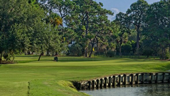 Sara Bay CC: #5