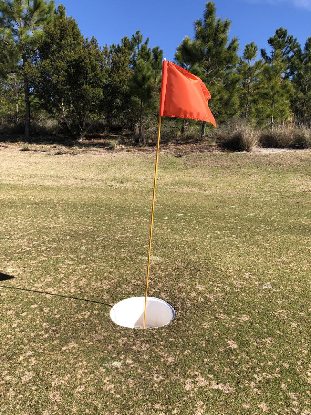 No way to 3-putt if you play these (Photo submitted by clakos on 02/02/2021)