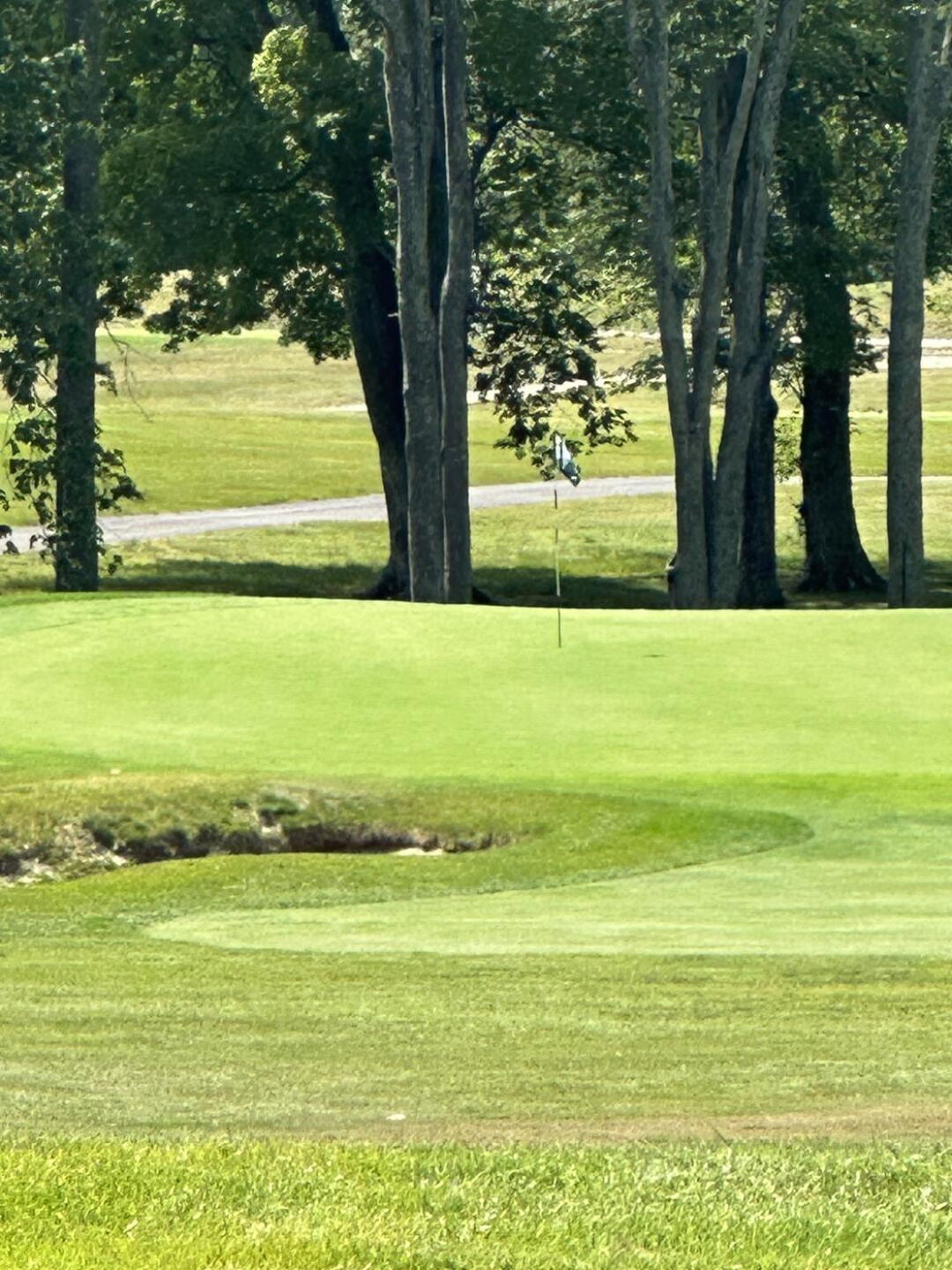 10th green (Photo submitted by AFink93 on 06/15/2023)