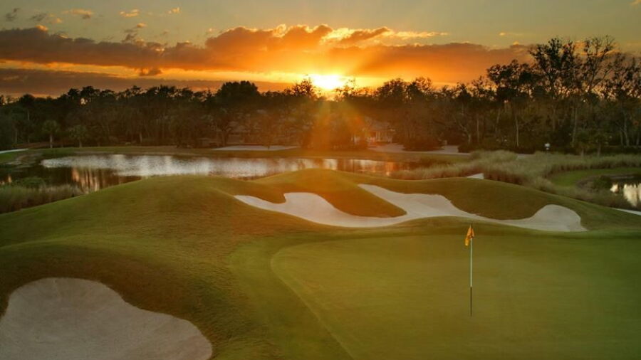 Old Orange at Verandah: #18