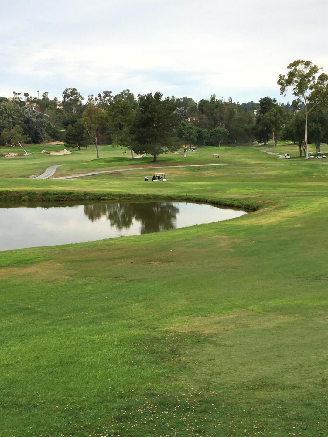 (Photo submitted by Kiagolf on 03/10/2021)