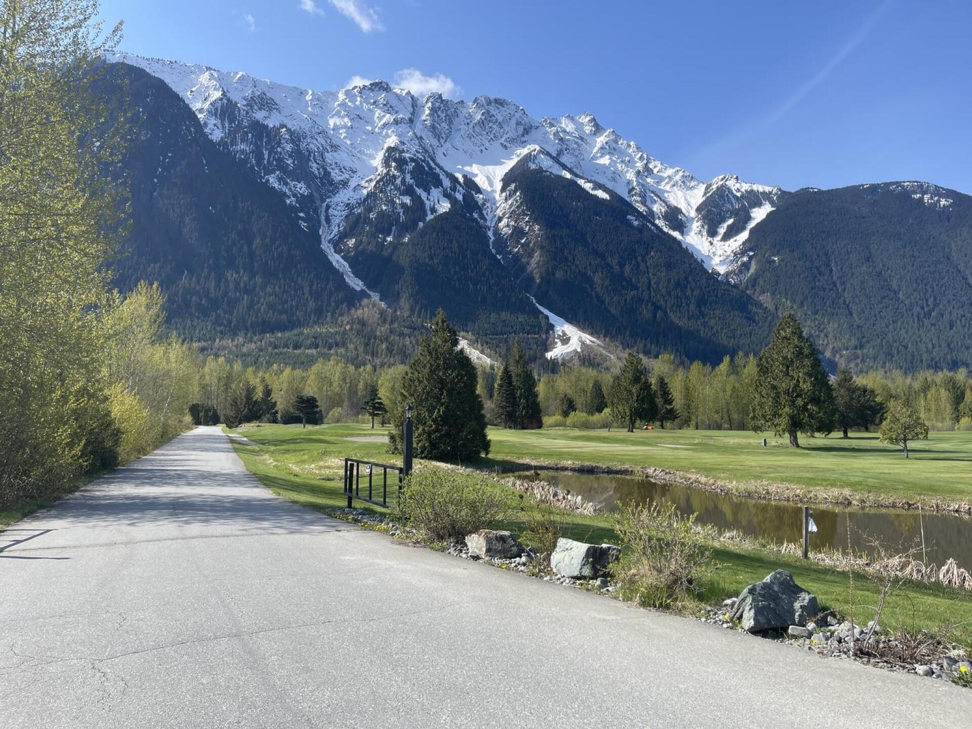 (Photo submitted by DMRNFcnmAV7ruVc0GZ6t on 03/29/2024)