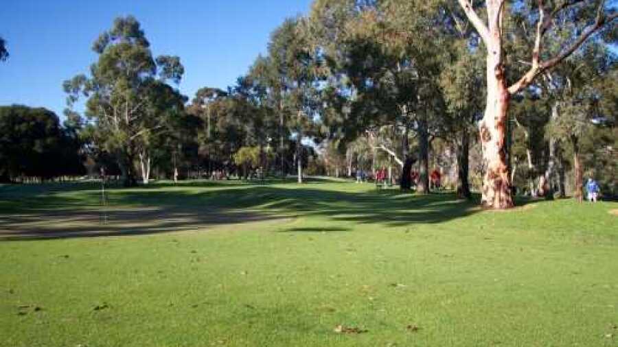 North Adelaide Golf - Par 3