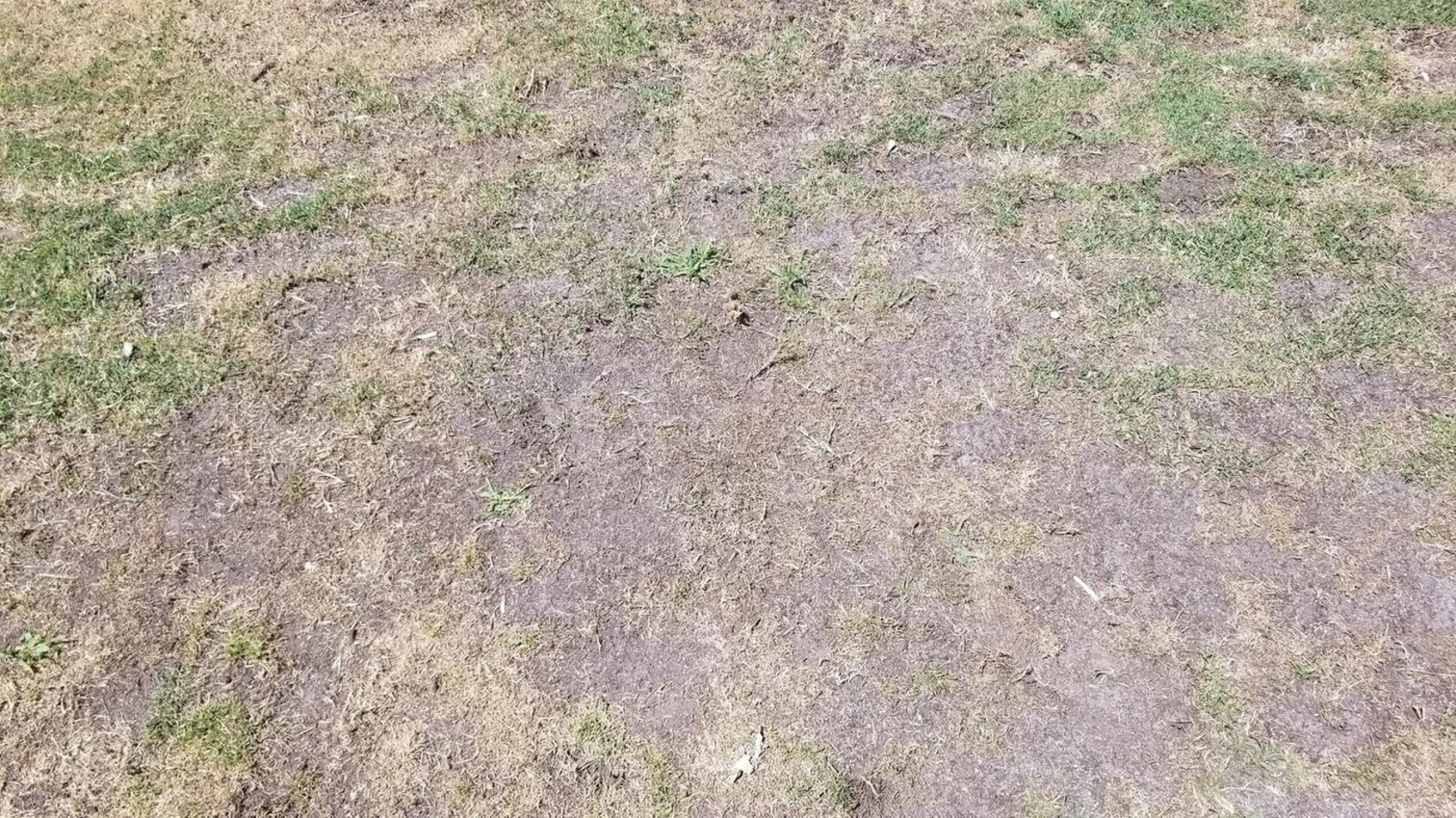 Desert of a Tee Box (Photo submitted by Ron2108443 on 07/12/2018)