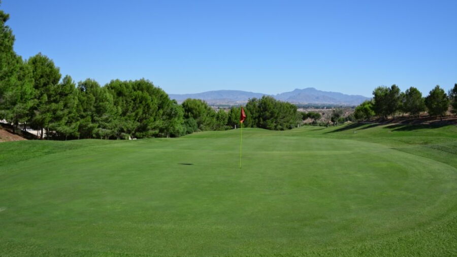 Altorreal GC: #5