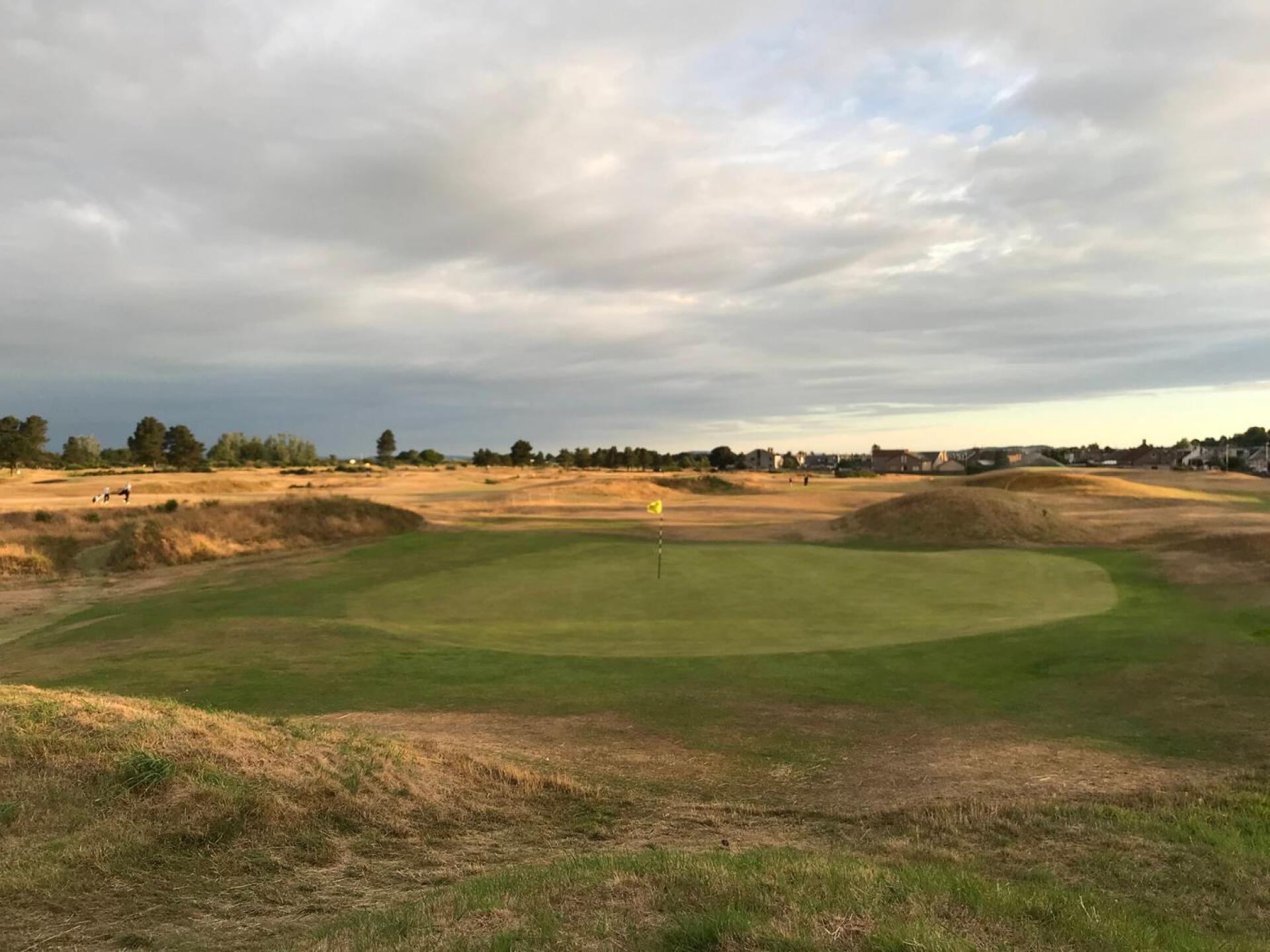 (Photo submitted by BrandonTuckerGA on 07/17/2018)