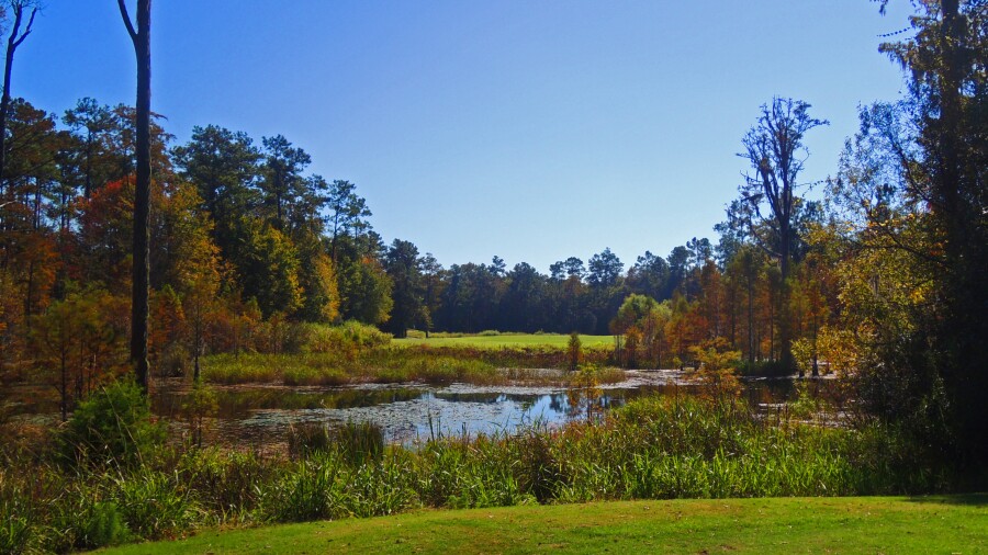 The Witch G.C. - 9th