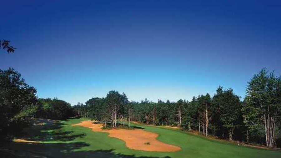 Hemlock GC: #12