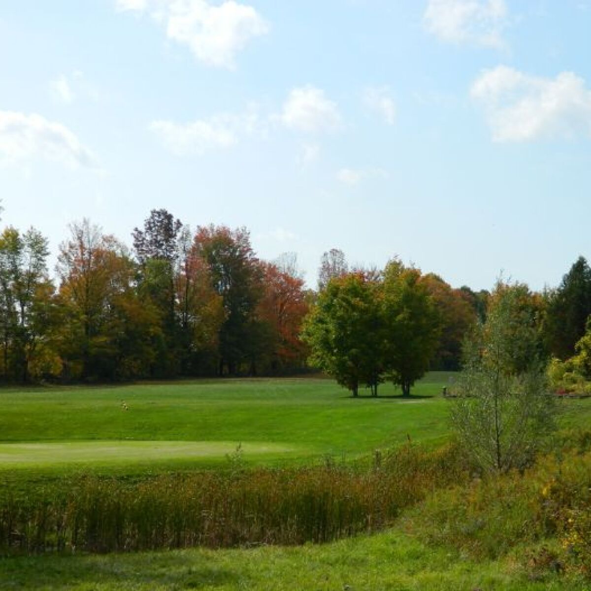 Trehaven Golf and Country Club in Hawkestone, Ontario, Canada GolfPass