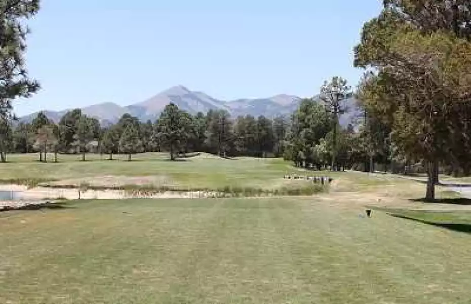 Alto Lakes GCC: #1