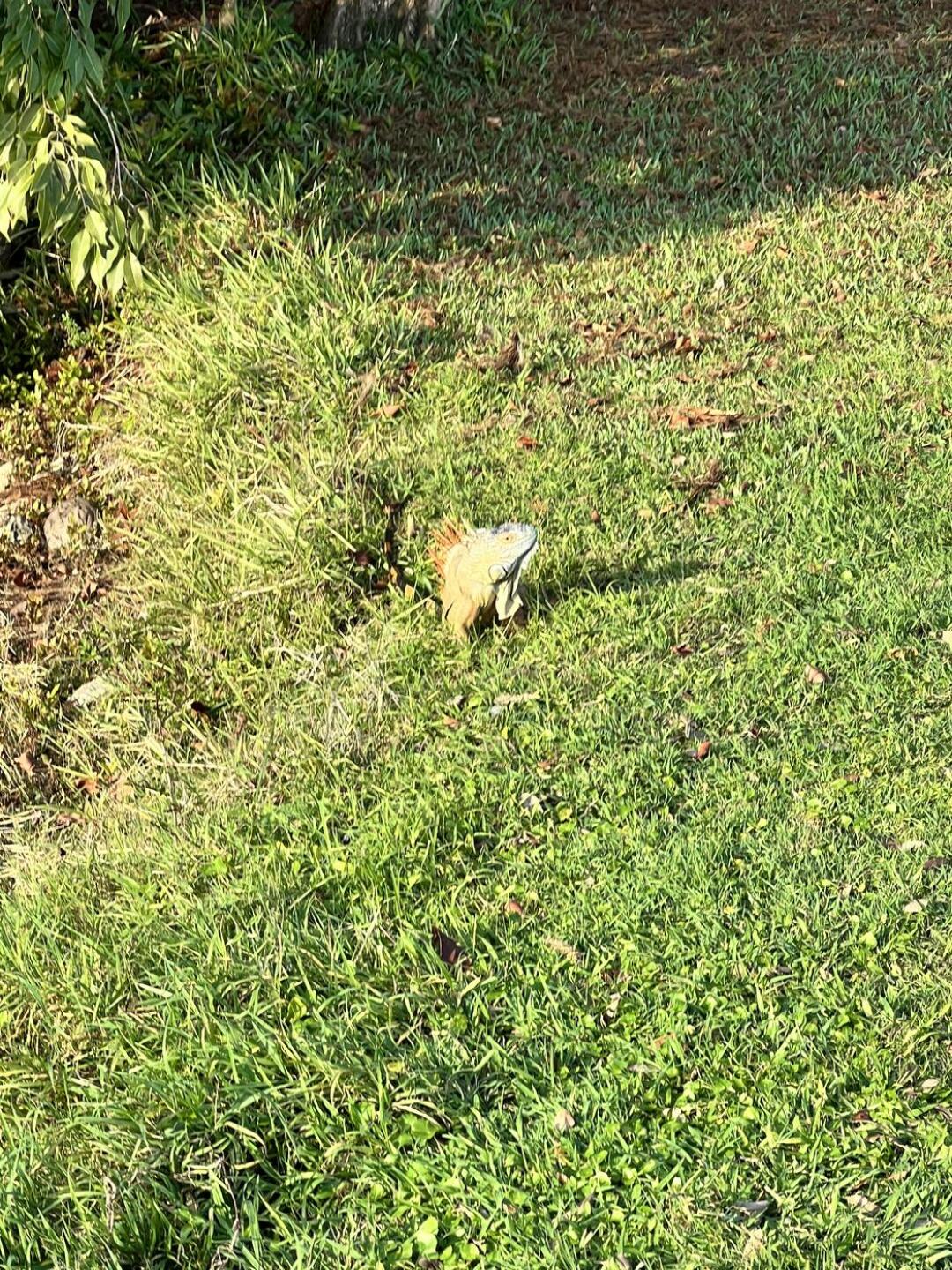 (Photo submitted by rykerb on 02/13/2022)