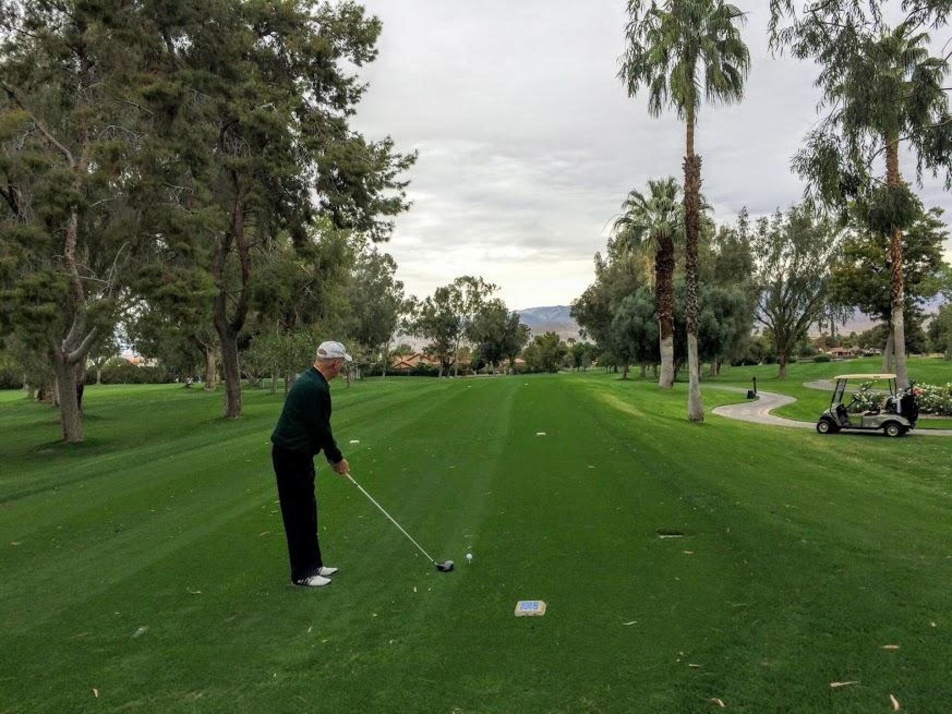 (Photo submitted by Gremlingolfer on 05/15/2019)