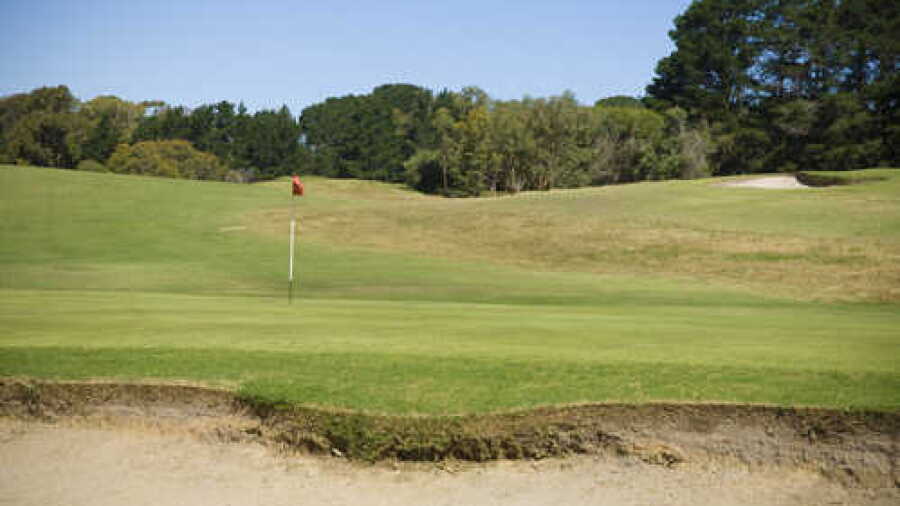 Curlewis GC: #7