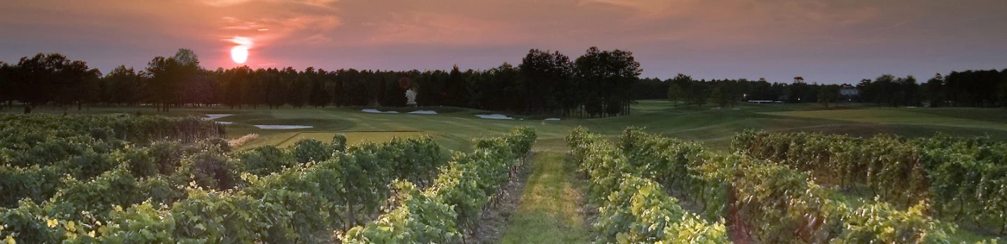 Vineyard Golf at Renault - hole 7 
