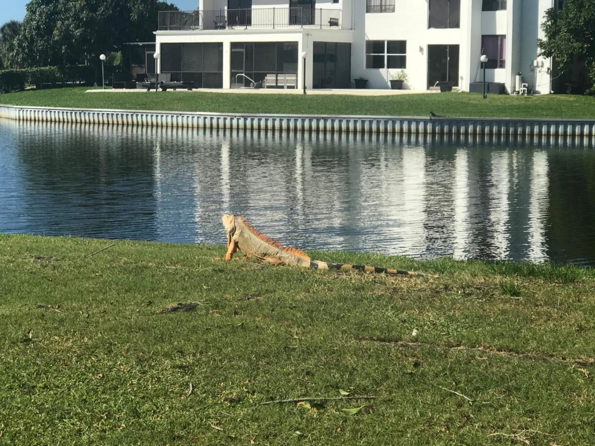 (Photo submitted by SusanSaccucci on 01/06/2020)