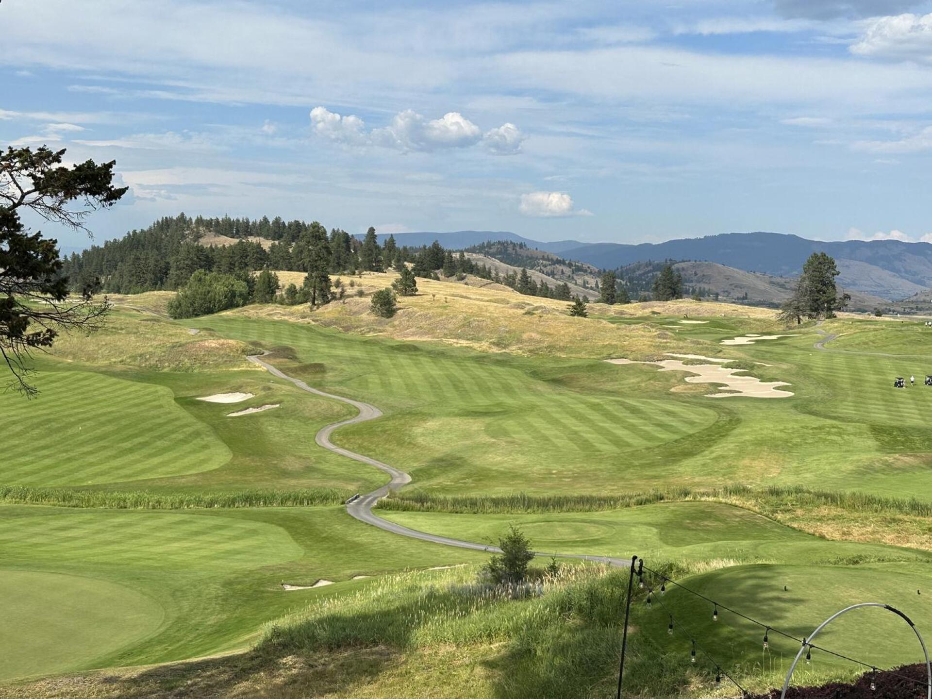 (Photo submitted by slimschadey16 on 07/10/2023)