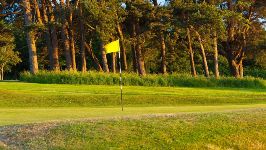 Kingsknowe GC: #10