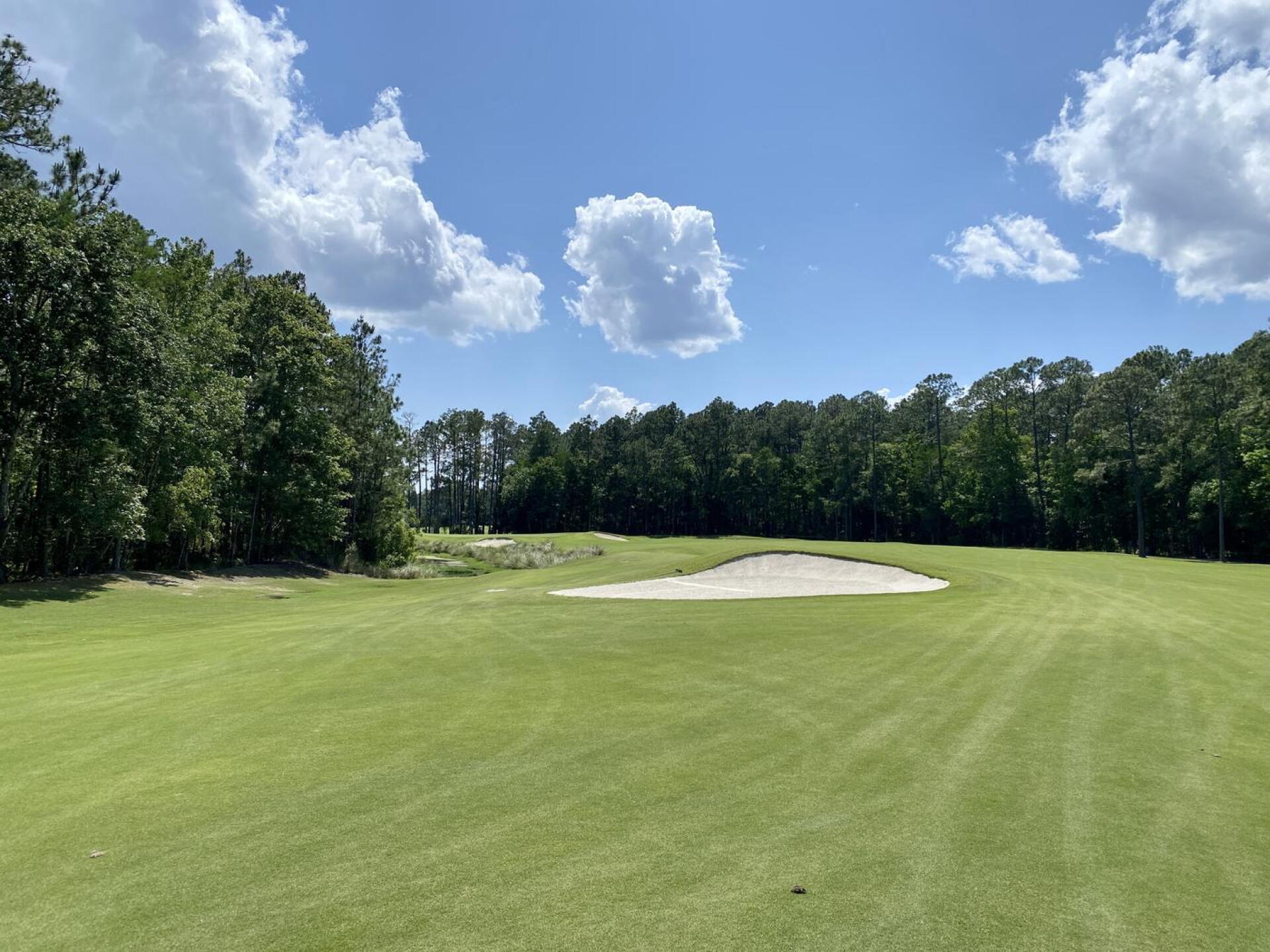 Slammer & Squire, hole 4 (Photo submitted by TimGavrichGP on 06/28/2022)