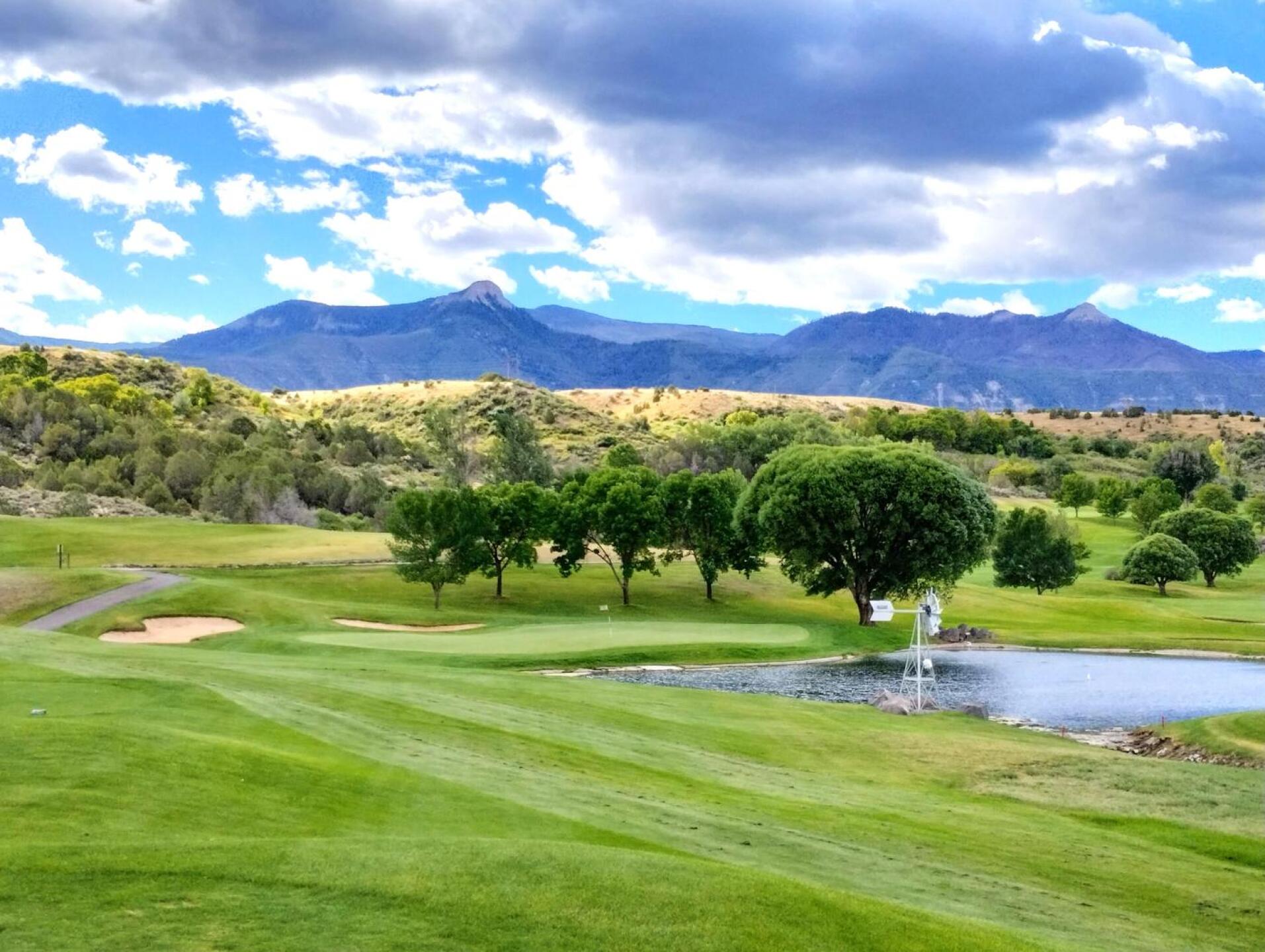 (Photo submitted by hacksalot05 on 09/22/2023)