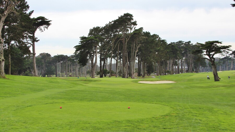 TPC Harding Park golf course - hole 8