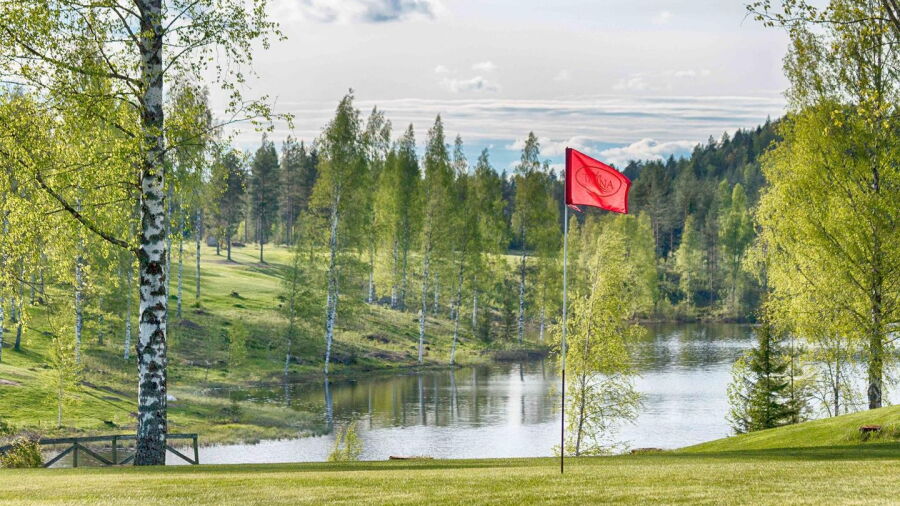 TarinaGolf