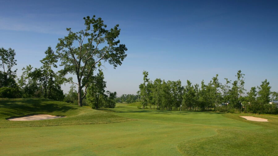 Diamond Hawk GC