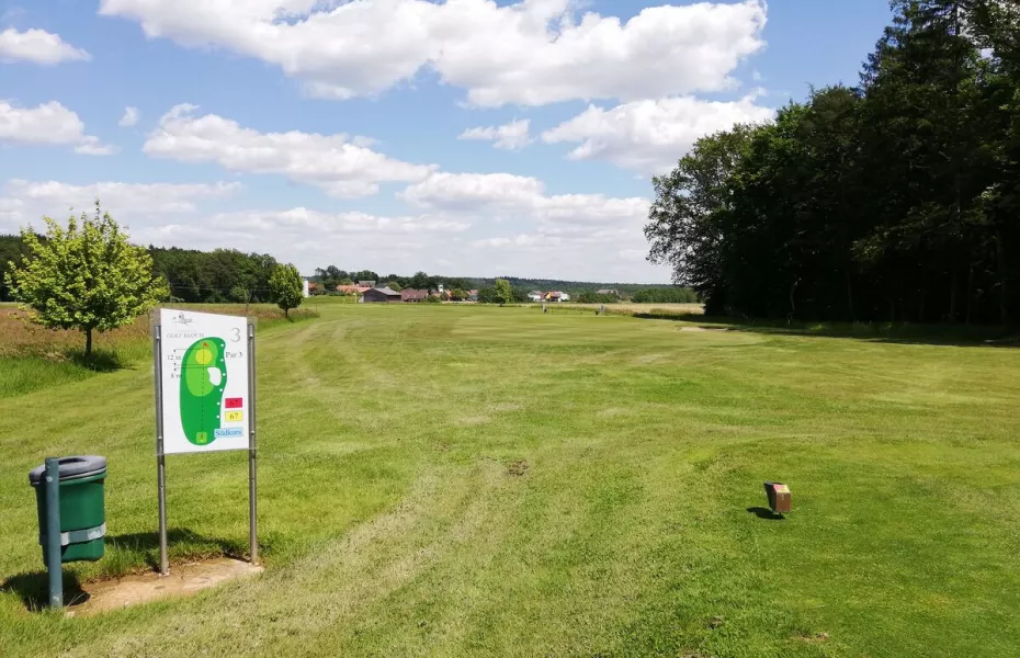 Traminer GC - Short: #3