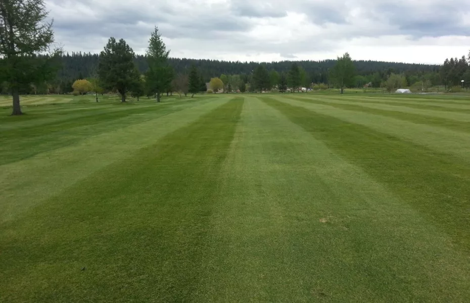 McCall GC