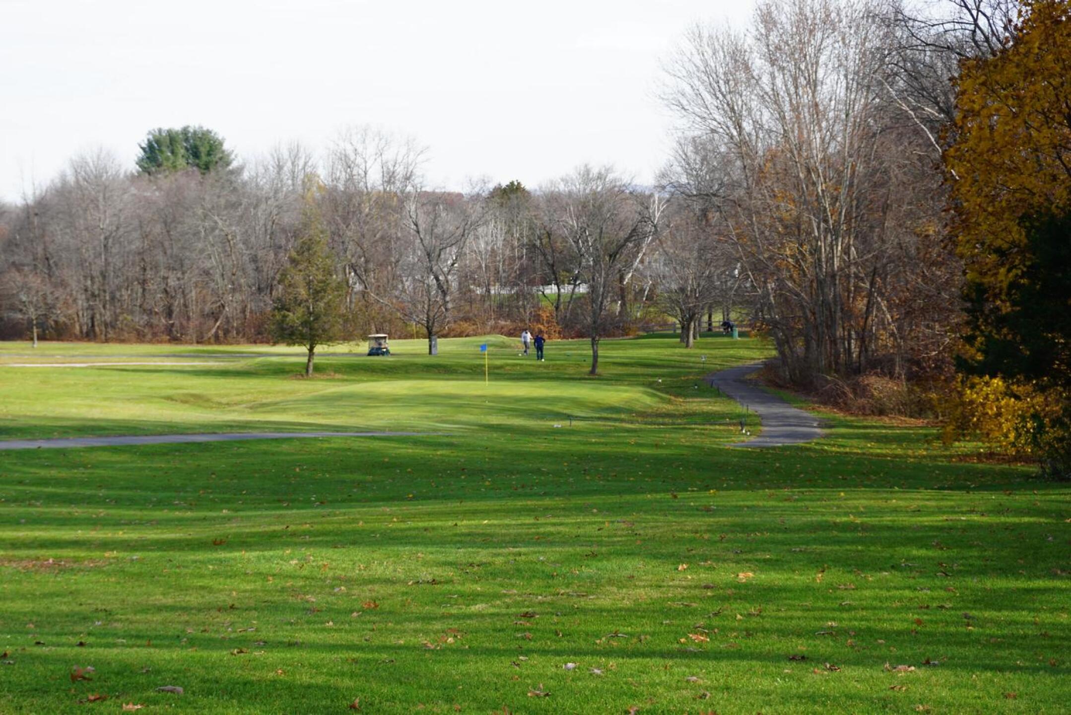The short par-3 fifth features a postage stamp green, elevated slightly above grade. (Photo submitted by AptlyLinked on 11/22/2021)