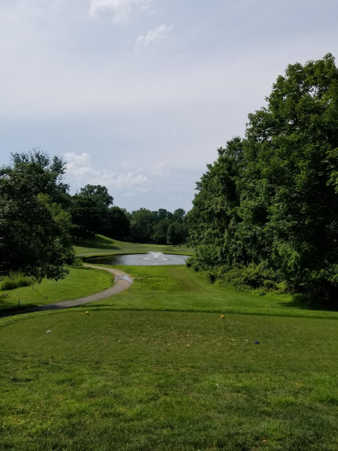 (Photo submitted by TLiberatore on 07/01/2019)