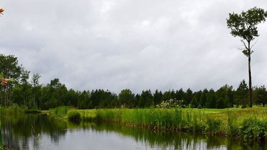 Country Meadows GC
