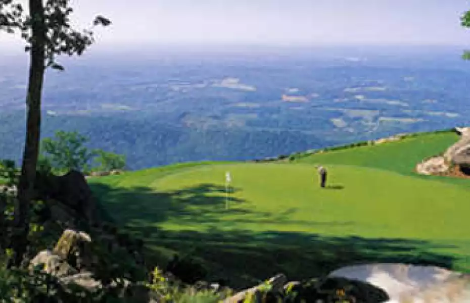 Maples GCC