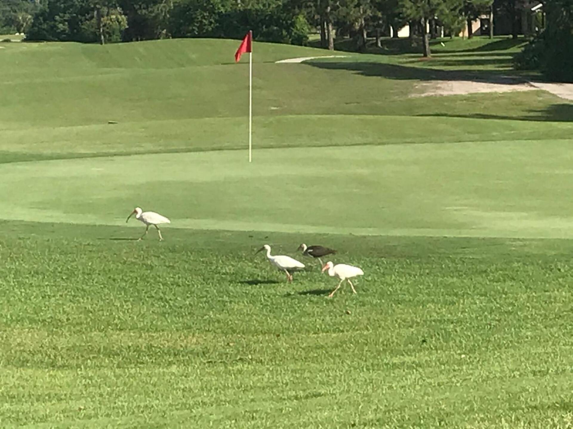 (Photo submitted by u00000929952 on 07/24/2020)