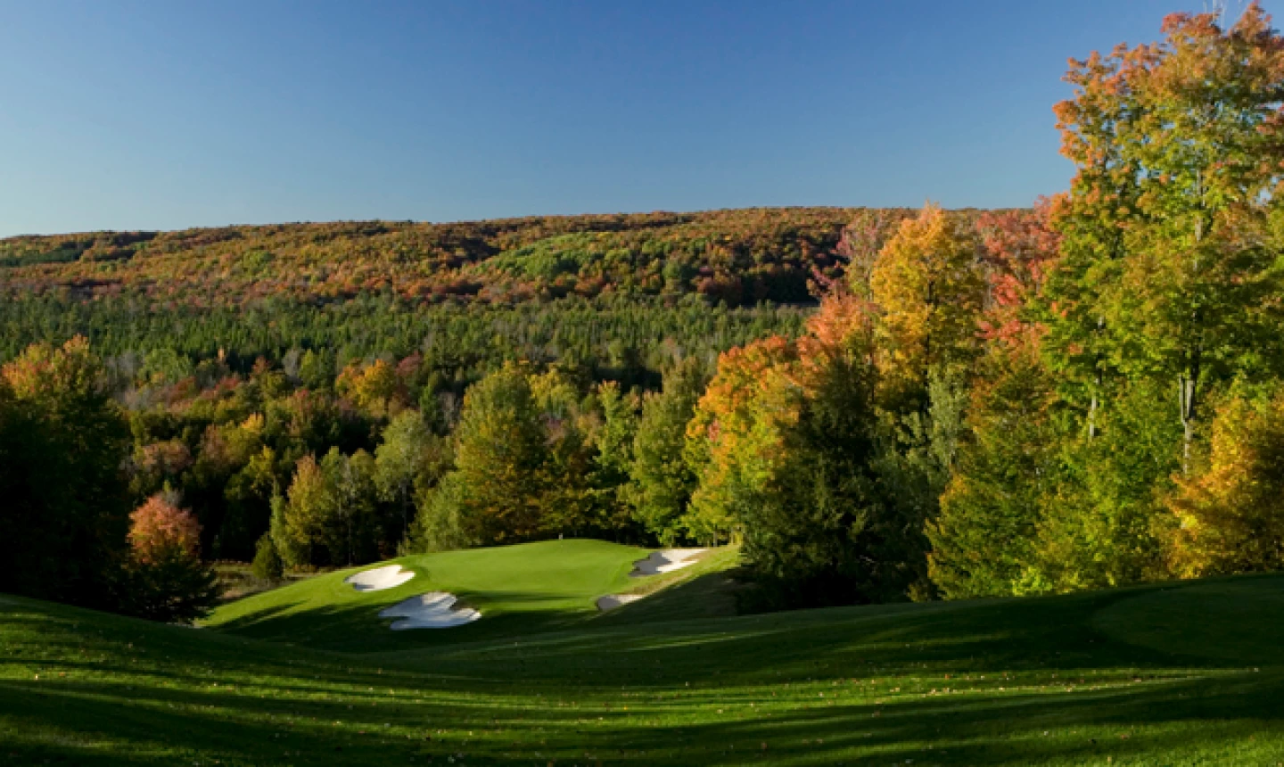 Treetops Resort - fall colors