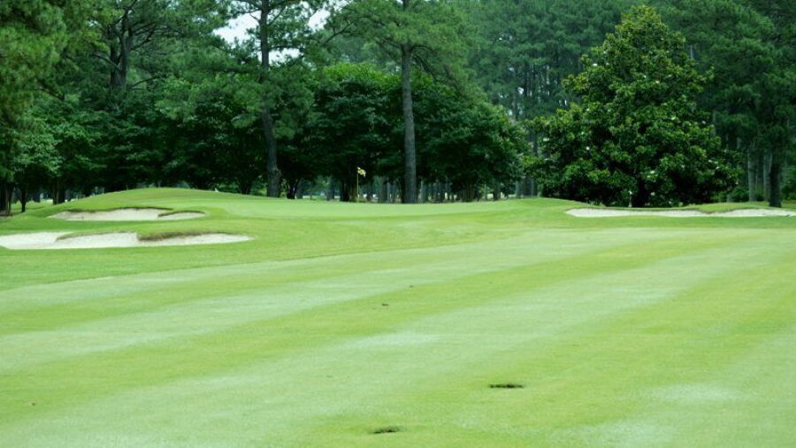 Elizabeth Manor CC: #10