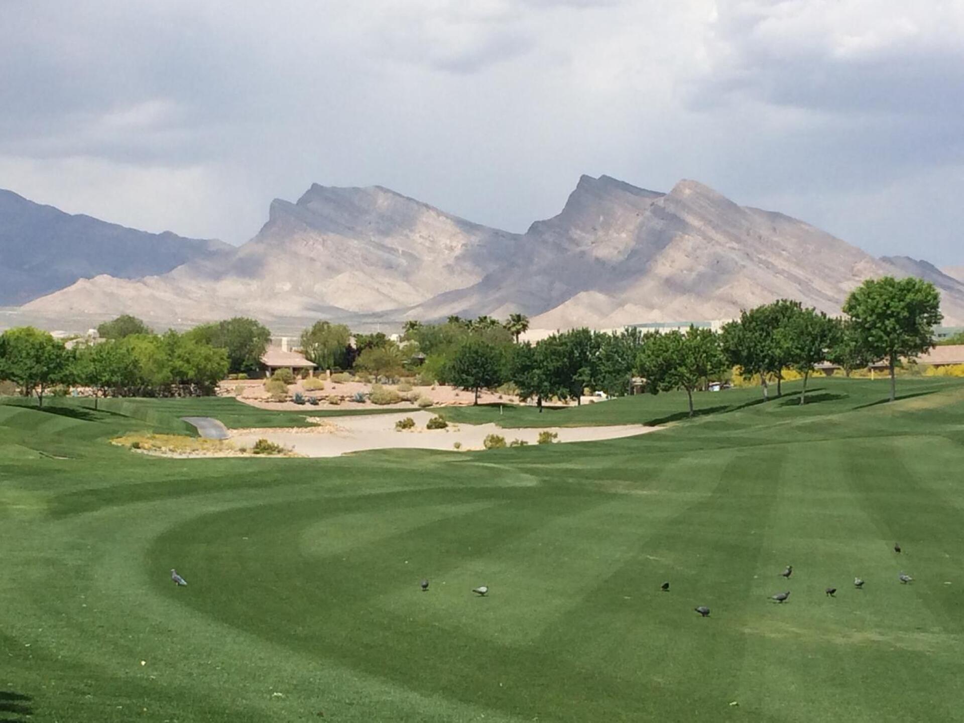 (Photo submitted by astarostki101 on 04/27/2015)