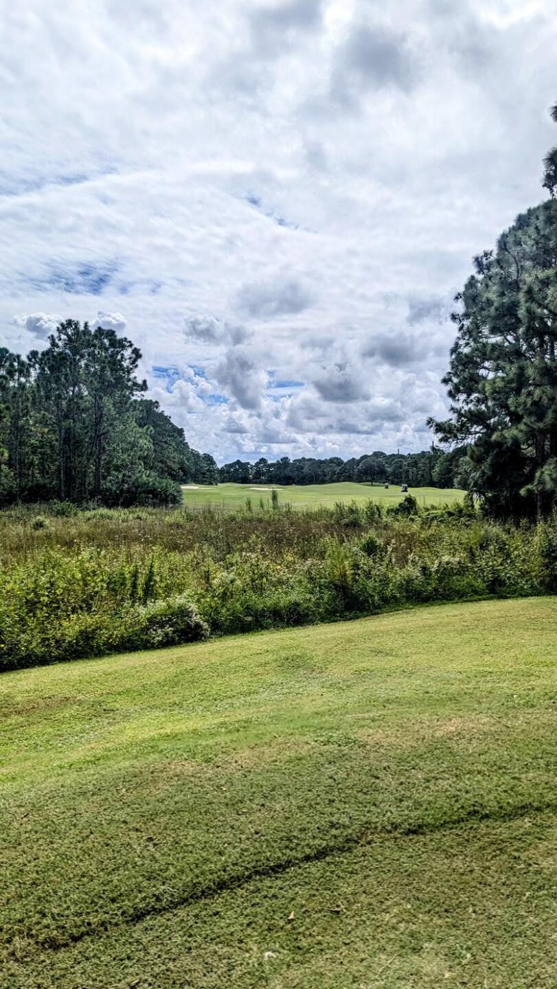 (Photo submitted by tiburonazo on 10/16/2024)